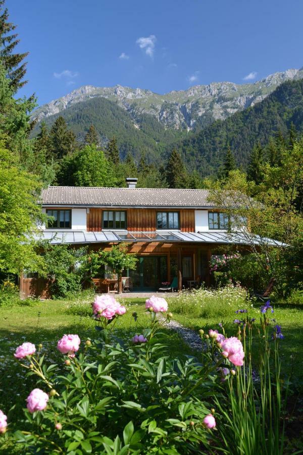 Petra Maria Soelle - Ferienhaus Sehr Privat Presseggersee Exterior foto